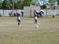 P1010611