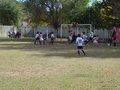 P1010603