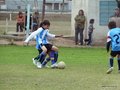 P1020348