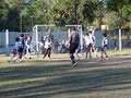 P1020508