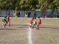 P1020562
