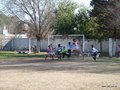 P1030247