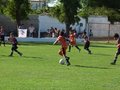 P1000187