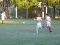 P1000330