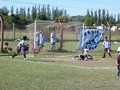 P1000281