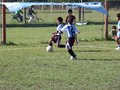 P1000271