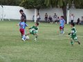 P1000482