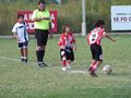 P1000436