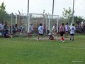 P1000435