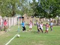 P1000408