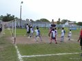 P1000454