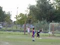 P1000446