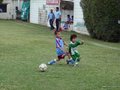 P1000478