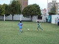 P1000496