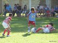P1000689