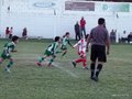 P1010073
