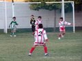 P1010094