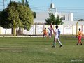 P1010014
