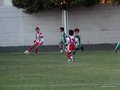P1010093
