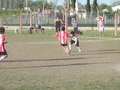 P1050746