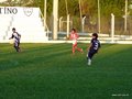 P1050959