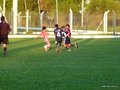 P1050953