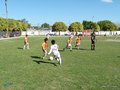P1060301