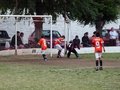 P1060579