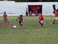 P1060564