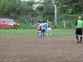 P1060603