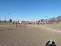 P1040531