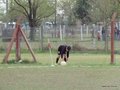 P1050288
