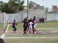 P1050311