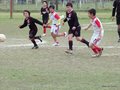 P1050297