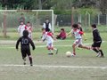 P1050296