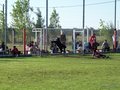 LVBF10F 078