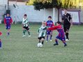 LVBF10F 132