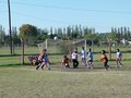 LVBF10F 008