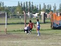 LVBF10F 017