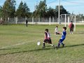 LVBF11F 076
