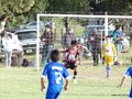 LVBF11F 049