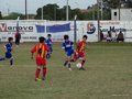 LVBF12F 177