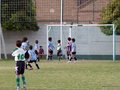 LVBF12F 145