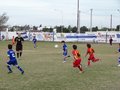 LVBF12F 181