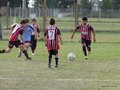 LVBF12F 096