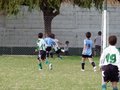 LVBF12F 129