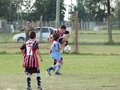 LVBF12F 091