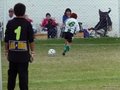 LVBF12F 156