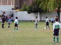 LVBF12F 173