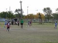 LVBF12F 089